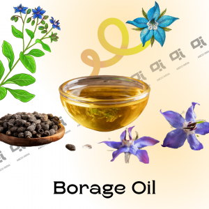 Borage Oil by ABCO INDIA