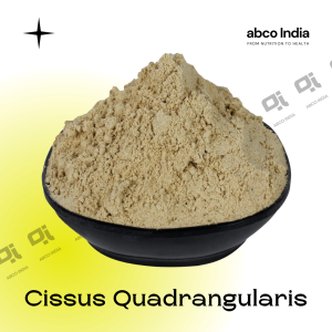 Cissus Quadrangularis by ABCO INDIA. ABCO India is Trusted Supplier of Pharmaceutical and Nutraceutical Raw Materials in New Delhi India.